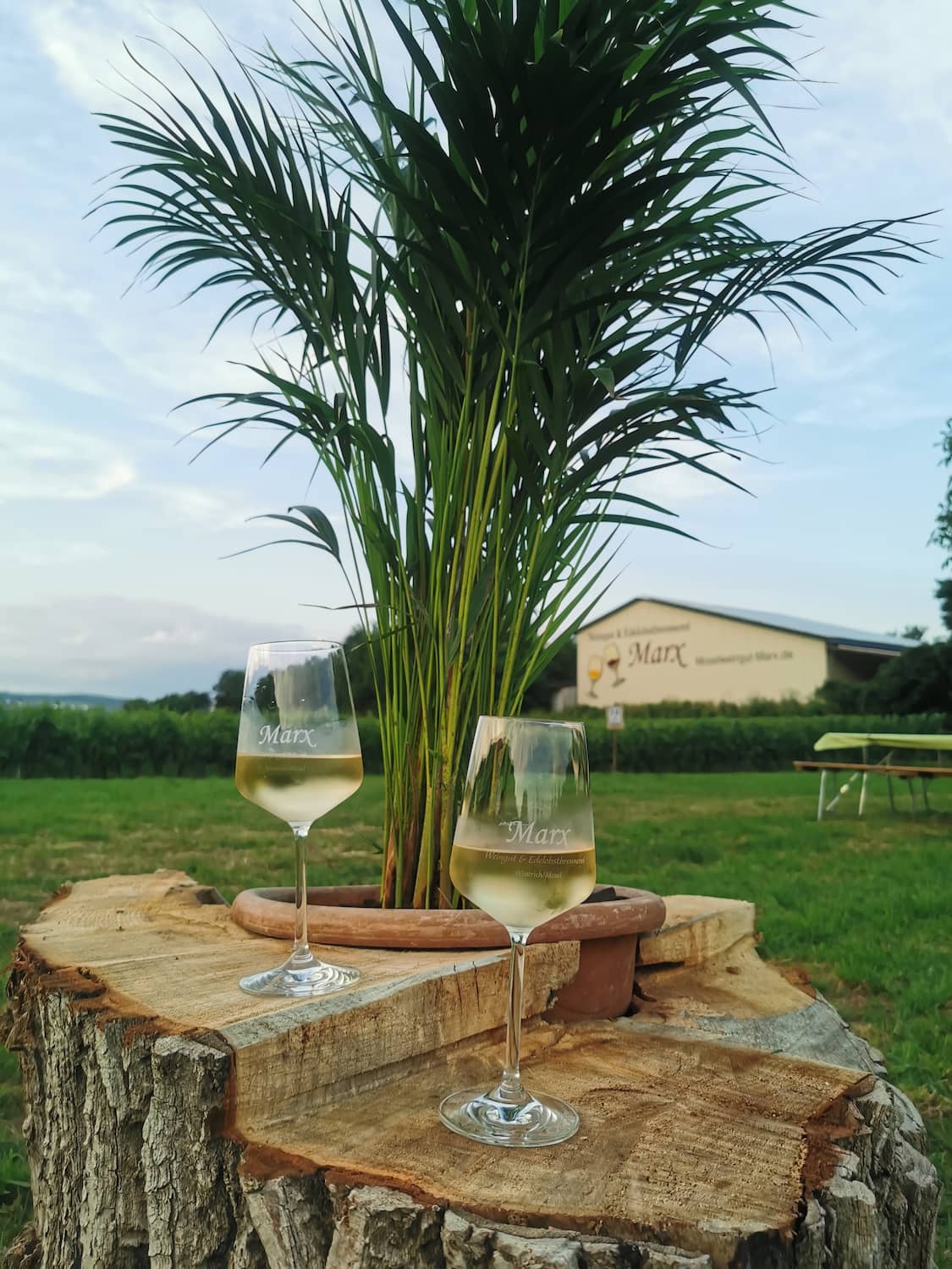 Zwei Gläser Wein vor der Weinhütte